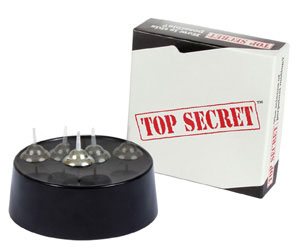 Perpetual Spinning Top